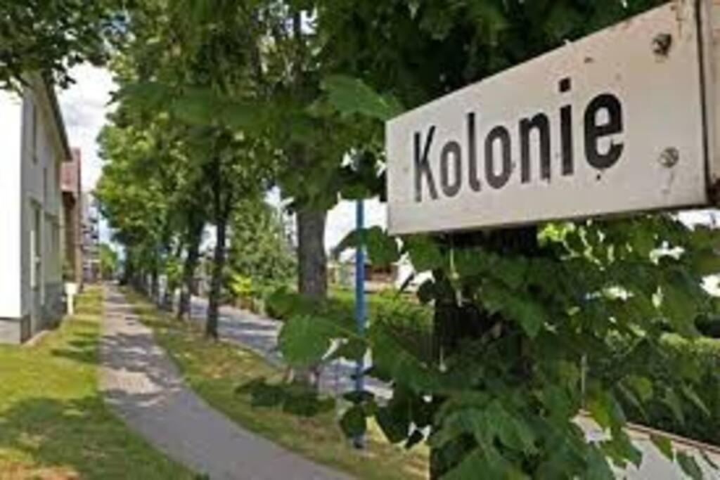 Ferienwohnung In Der Sportstadt Riesa Kültér fotó
